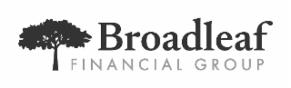 BROADLEAF FINANCIAL GROUP logo