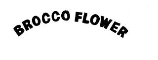 BROCCO FLOWER logo