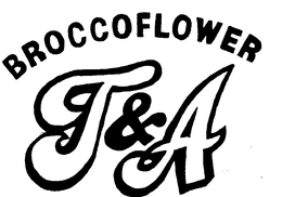 BROCCOFLOWER T&A logo