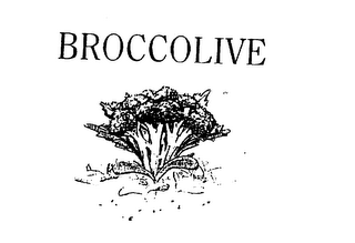 BROCCOLIVE logo