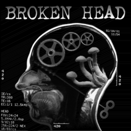 BROKEN HEAD logo