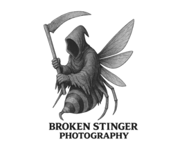 BROKEN STINGER PHOTOGRAPHY logo