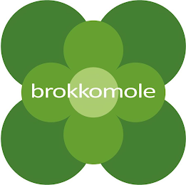 BROKKOMOLE logo