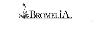 BROMELIA logo
