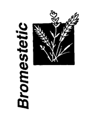 BROMESTETIC logo