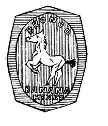 BRONCO BANANA MEXICO logo
