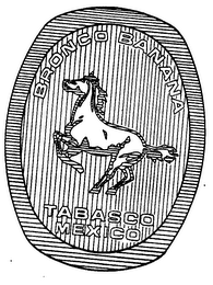 BRONCO BANANA TABASCO MEXICO logo