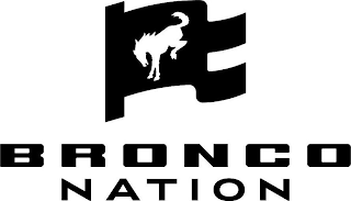 BRONCO NATION logo