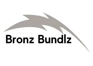 BRONZ BUNDLZ logo