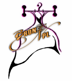 BRONZ NPL logo