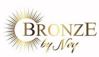 BRONZE BY NEY logo