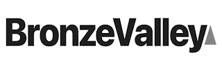 BRONZEVALLEY logo
