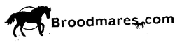 BROODMARES.COM logo