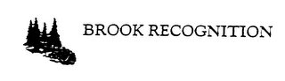 BROOK RECOGNITION logo