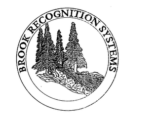 BROOK RECOGNITION SYSTEMS logo