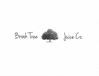BROOK TREE JUICE CO. logo