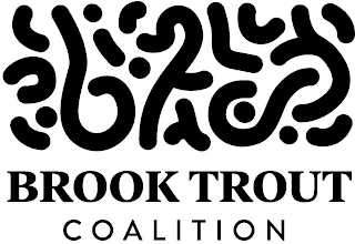 BROOK TROUT COALITION logo