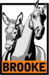 BROOKE logo