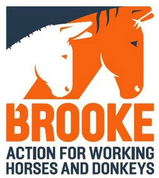 BROOKE ACTION FOR WORKING HORSES AND DONKEYS logo