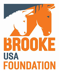 BROOKE USA FOUNDATION logo
