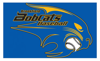 BROOKFIELD BOBCATS BASEBALL logo
