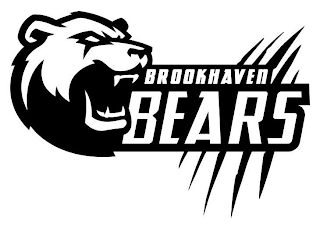 BROOKHAVEN BEARS logo
