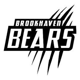 BROOKHAVEN BEARS logo