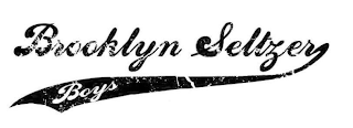 BROOKLYN SELTZER BOYS logo