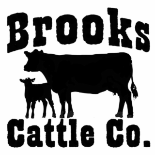 BROOKS CATTLE CO. logo