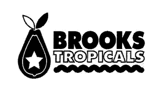BROOKS TROPICALS logo