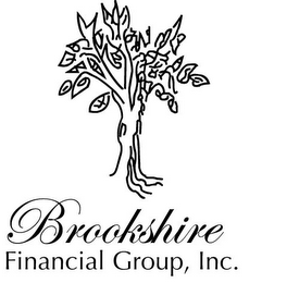BROOKSHIRE FINANCIAL GROUP, INC. logo