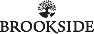 BROOKSIDE logo