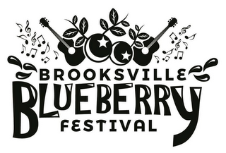 BROOKSVILLE BLUEBERRY FESTIVAL logo