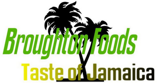 BROUGHTON FOODS TASTE OF JAMAICA logo