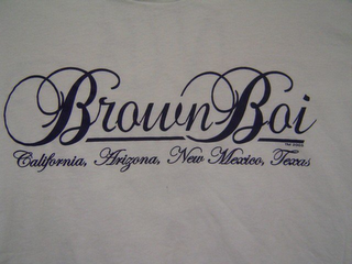 BROWN BOI CALIFORNIA, ARIZONA, NEW MEXICO, TEXAS logo