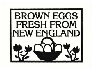 BROWN EGGS FRESH FROM NEW ENGLAND logo