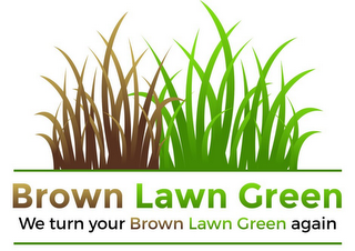 BROWN LAWN GREEN WE TURN YOUR BROWN LAWN GREEN AGAIN logo