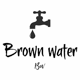 BROWN WATER BW logo