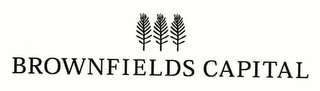 BROWNFIELDS CAPITAL logo