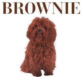 BROWNIE logo