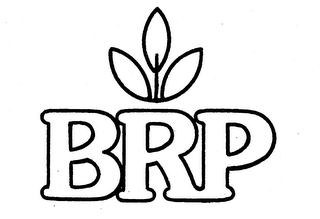 BRP logo