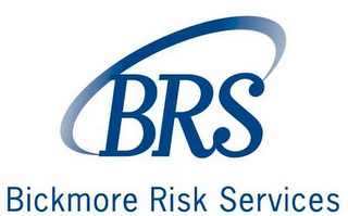 BRS BICKMORE RISK SERVICES logo