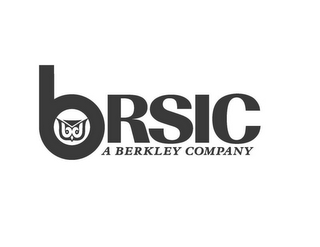 BRSIC A BERKLEY COMPANY logo