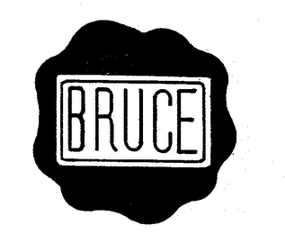 BRUCE logo