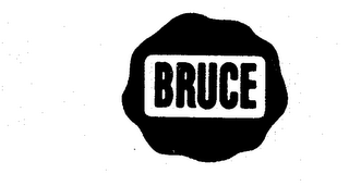 BRUCE logo