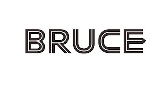 BRUCE logo