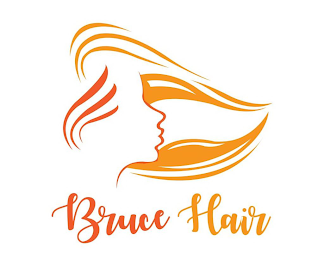 BRUCE HAIR logo