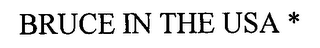 BRUCE IN THE USA * logo