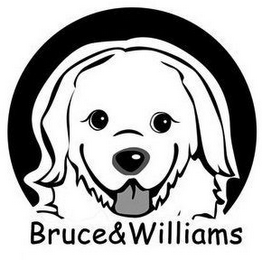 BRUCE&WILLIAMS logo
