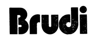 BRUDI logo